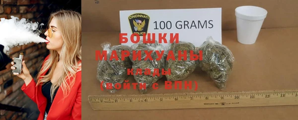 дмт Медногорск