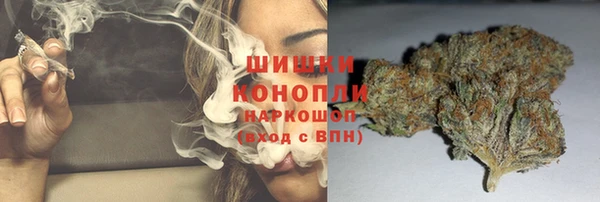 дмт Медногорск