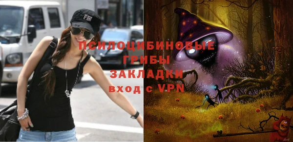 соль ск Медвежьегорск