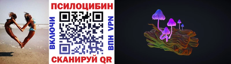shop Telegram  Заречный  Галлюциногенные грибы GOLDEN TEACHER 
