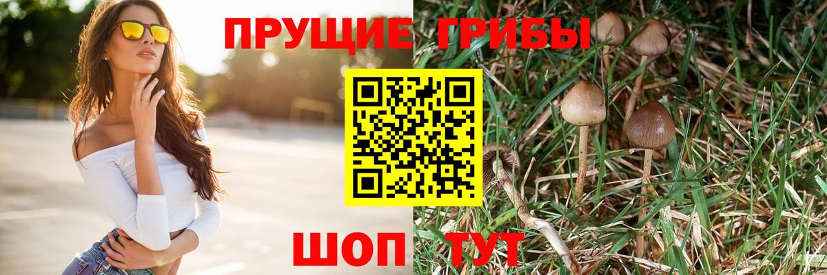 Галлюциногенные грибы ЛСД  Вход с VPN  Заречный 