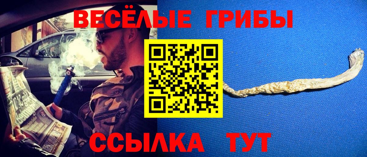 Галлюциногенные грибы Psilocybe Заречный